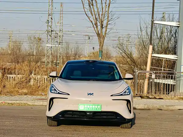 IM Motors LS6 2023