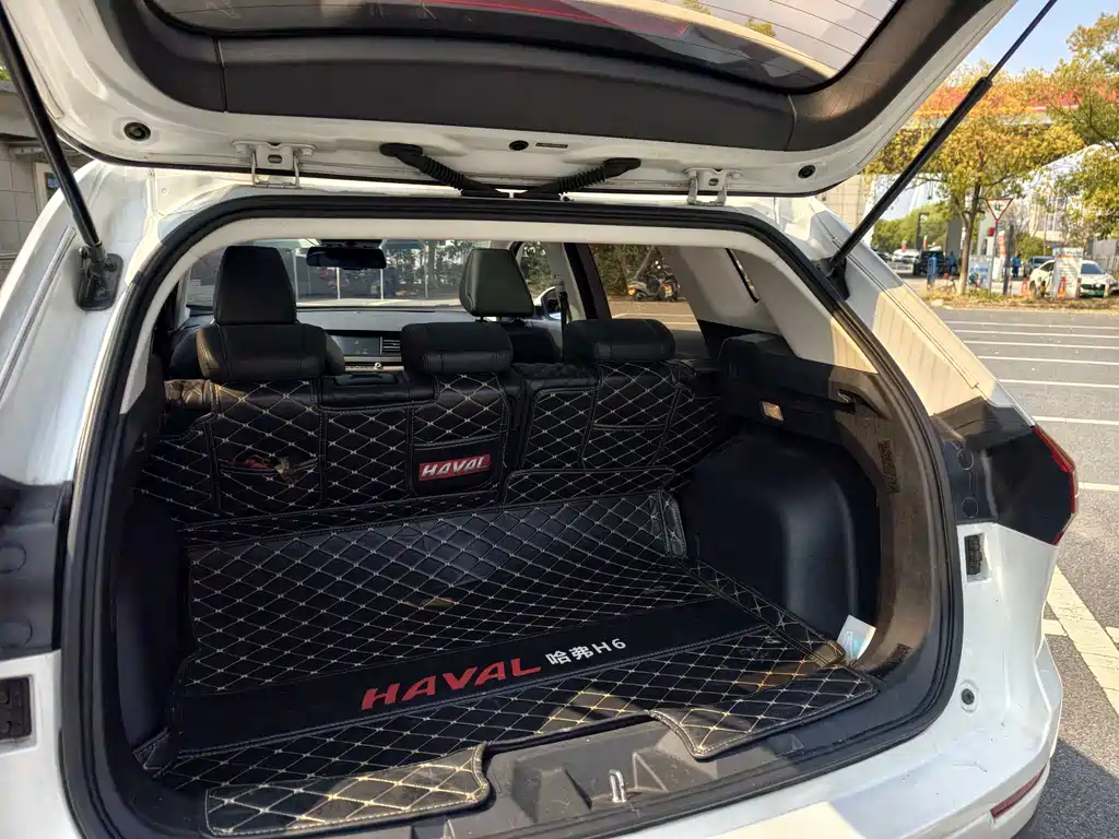 Haval H6 2020 — фото 14