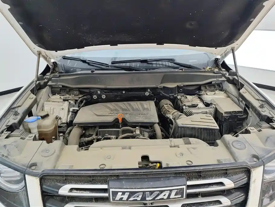 Haval Big Dog 2021 — фото 10