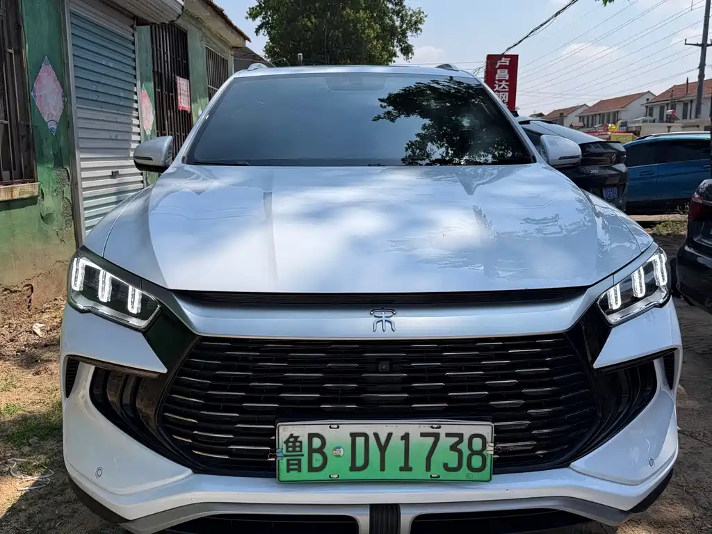 BYD Pro New Energy 2024