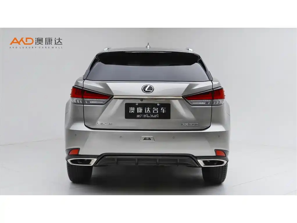 Lexus RX 2020 — фото 4