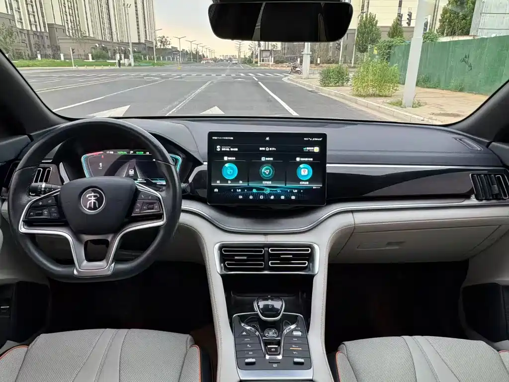 BYD Song PLUS New Energy 2022 — фото 6