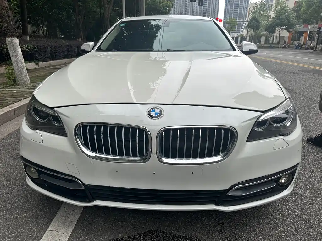 BMW 5 Series 2015 — фото 2