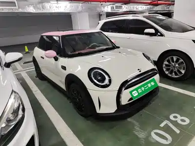 MINI MINI 2022