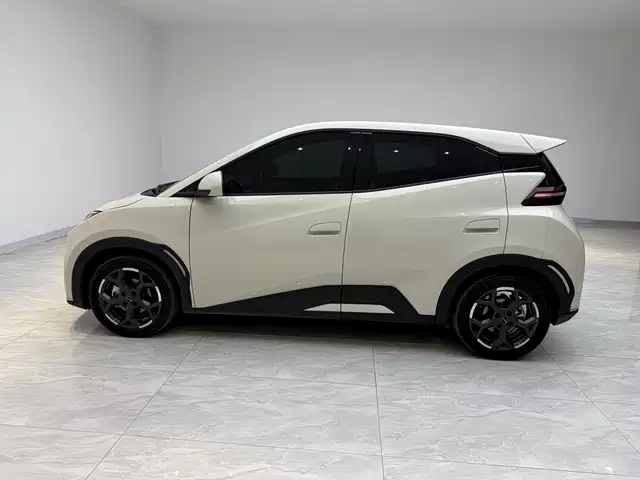 BYD Seagull 2024