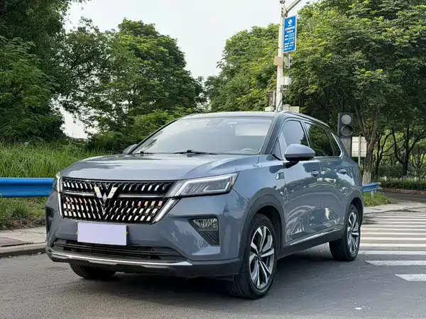 Wuling Star 2021