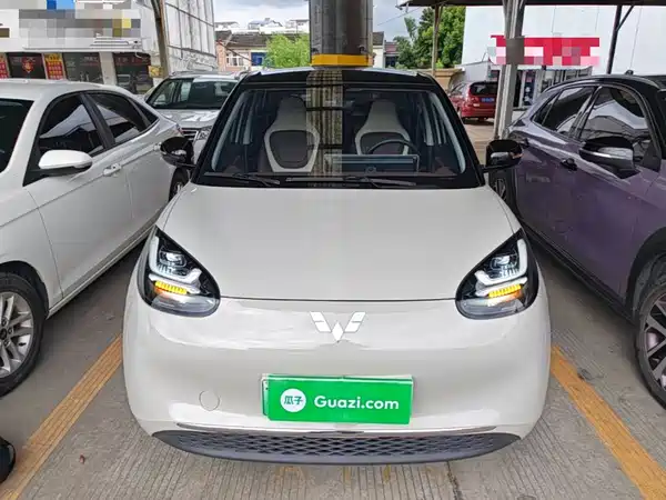 Wuling Bingo 2024