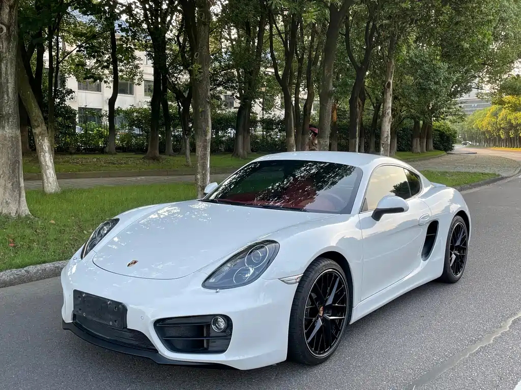 Porsche Cayman 2015 — фото 1