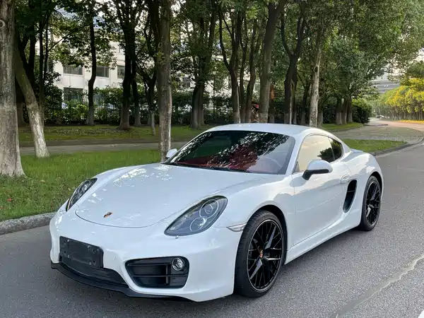 Porsche Cayman 2015
