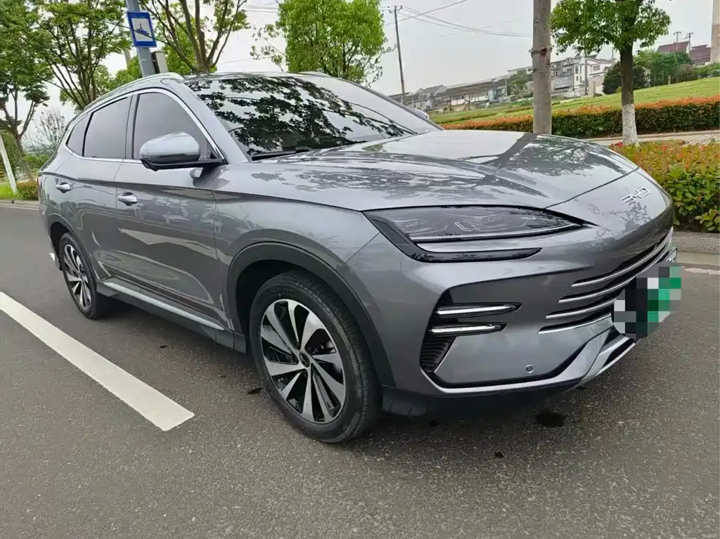 BYD PLUS New Energy 2024 — фото 2