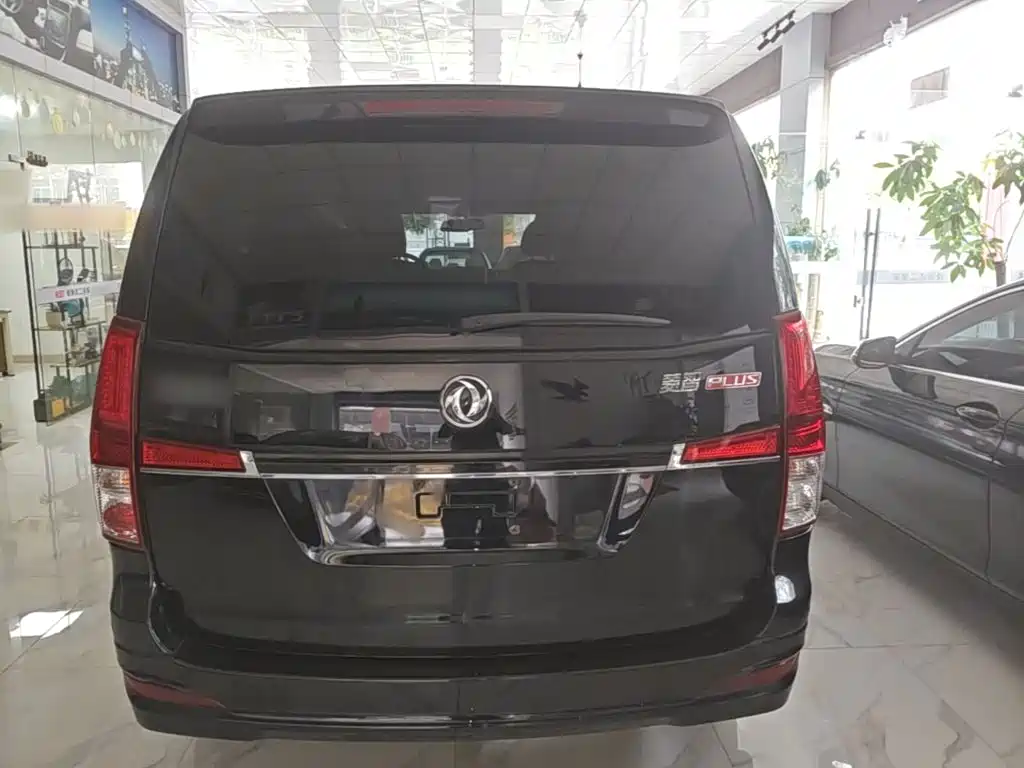 Fengxing Lingzhi PLUS 2022