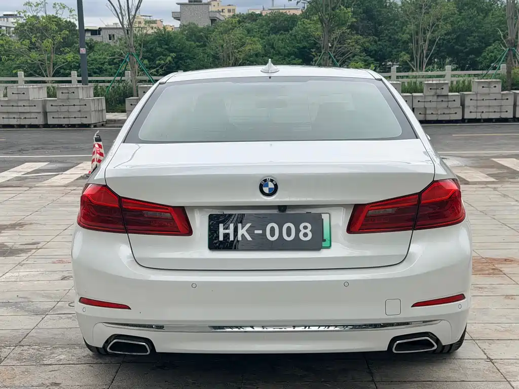 BMW 5 Series New Energy 2019