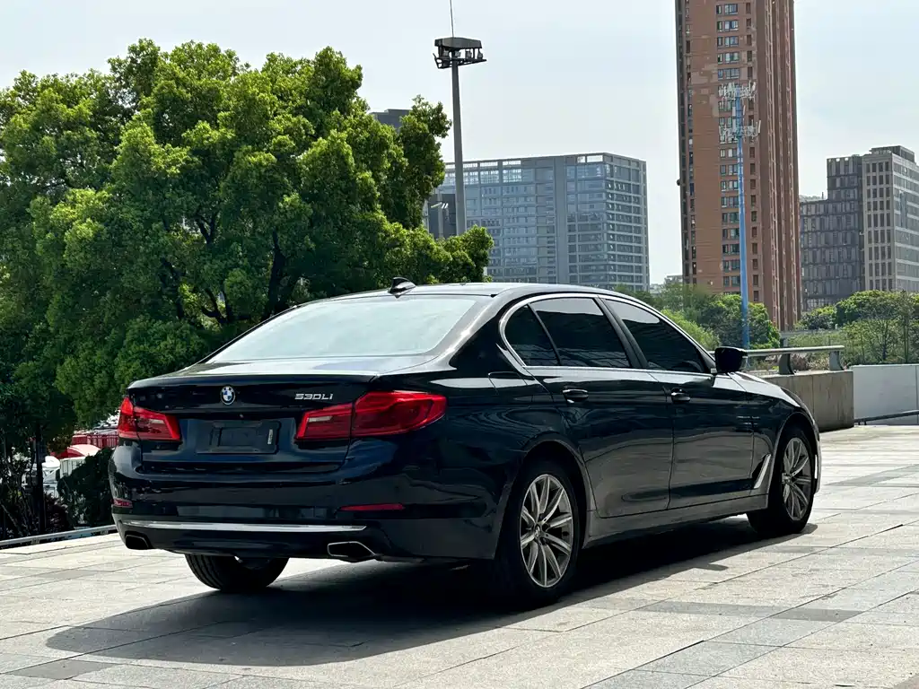 BMW 5 Series 2018 — фото 6