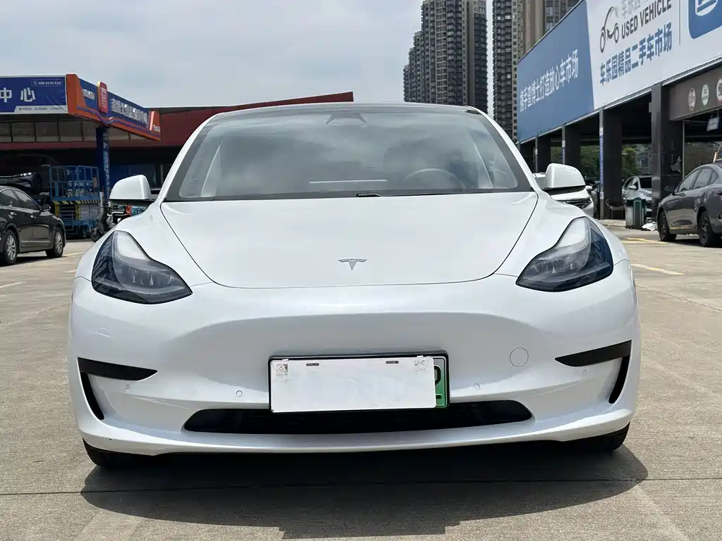 Tesla Model 3 2021 — фото 2