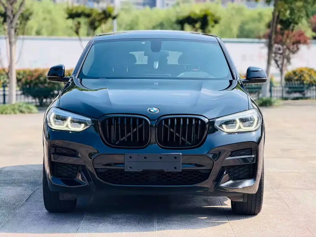 BMW X4 2019 — фото 1