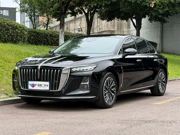 Hongqi H5 2024
