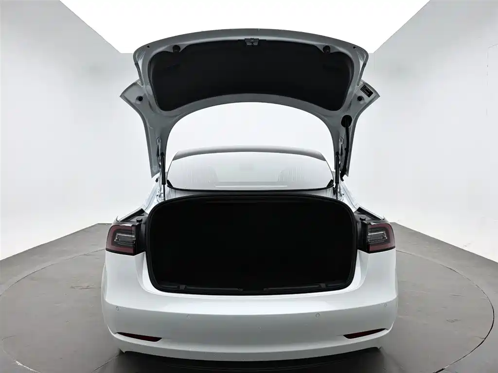 Tesla Model 3 2021 — фото 10