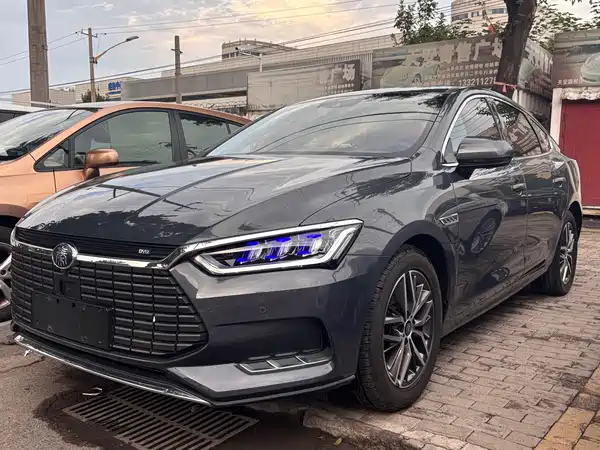 BYD Qin Pro New Energy 2020