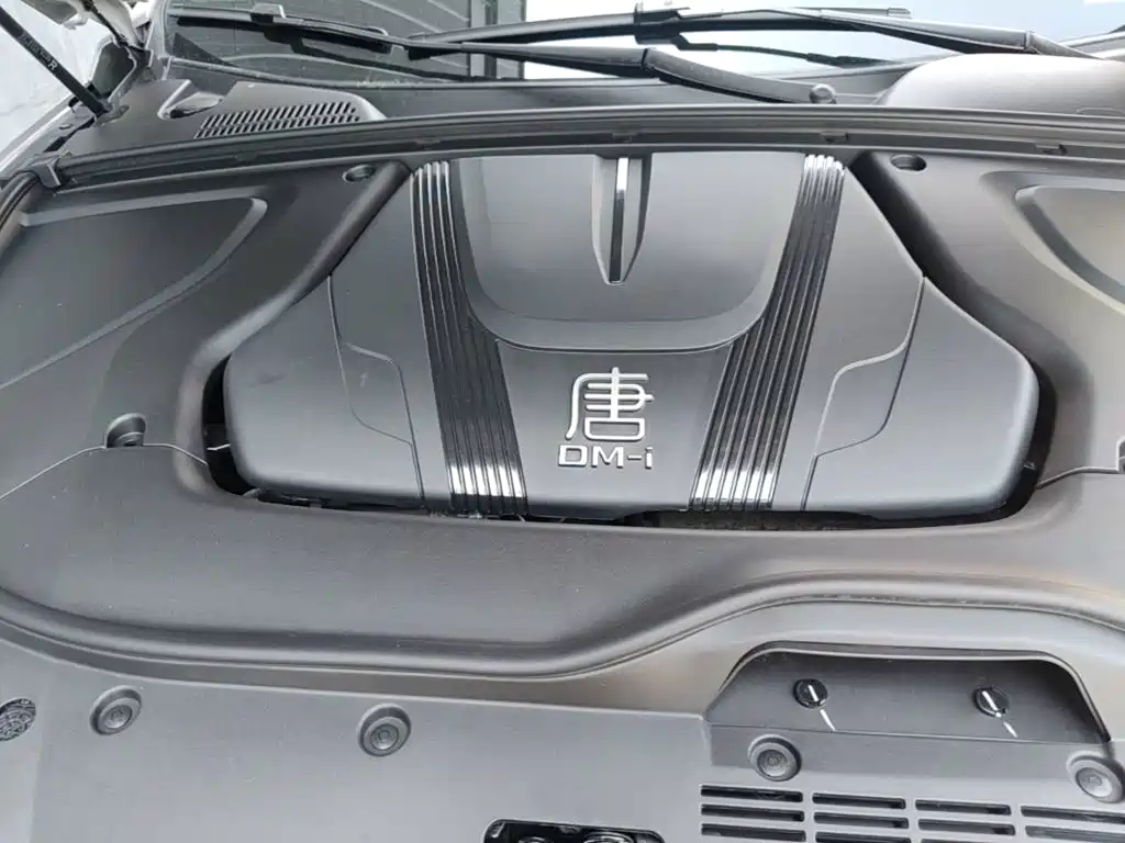 BYD Tang New Energy 2025 — фото 20