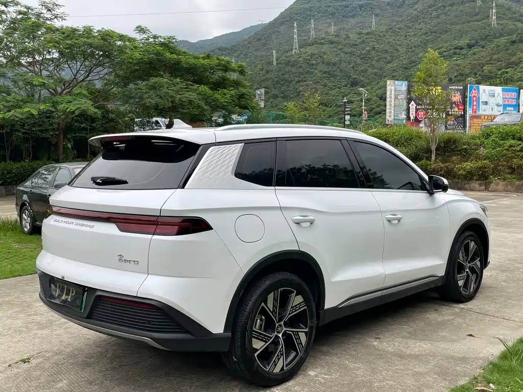 BYD Pro New Energy 2024 — фото 18