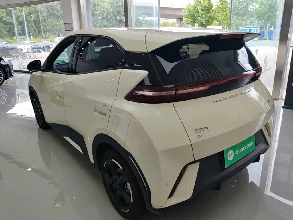 BYD Seagull 2024