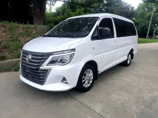Dongfeng Lingzhi 2020