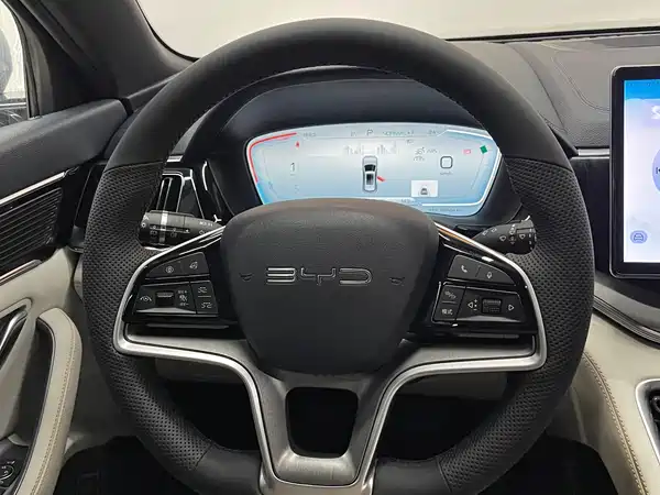 BYD Song PLUS New Energy 2024