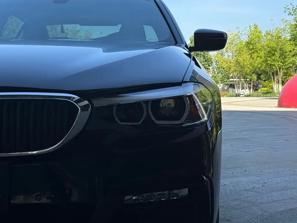 BMW 5 Series 2018 — фото 19