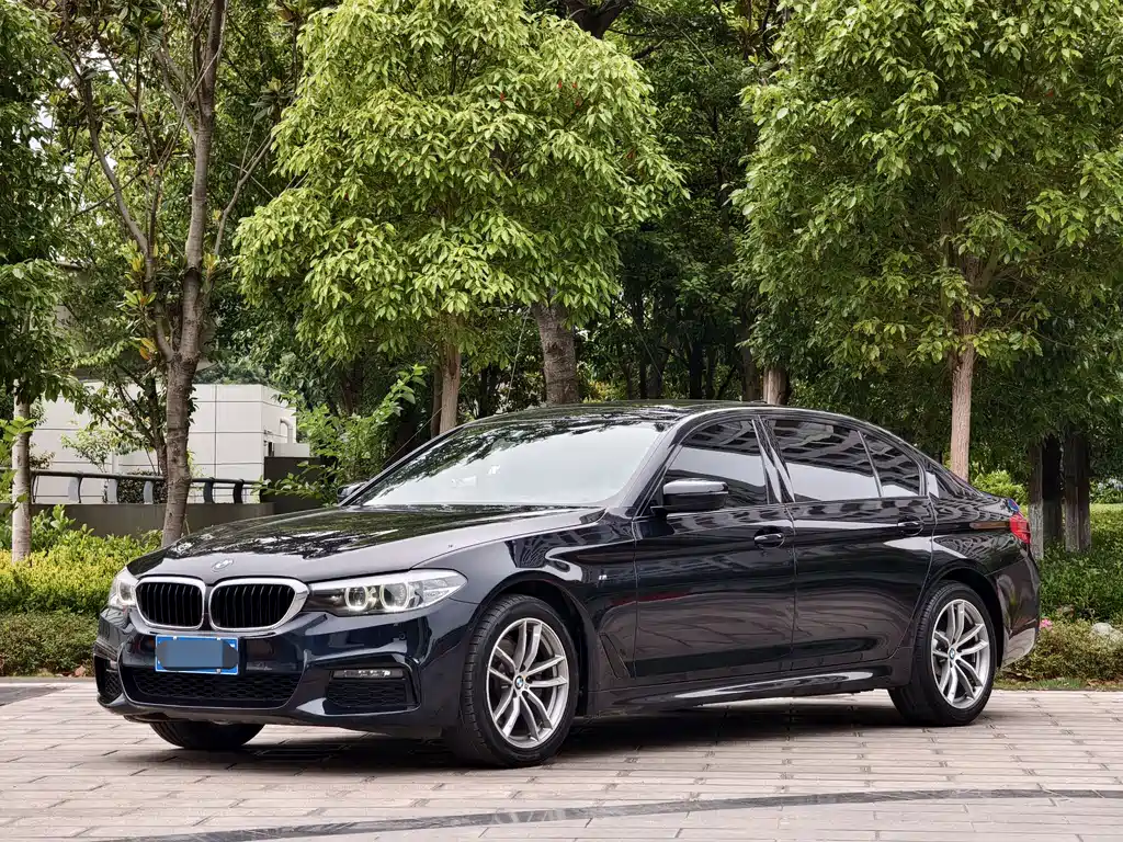 BMW 5 Series 2019 — фото 1