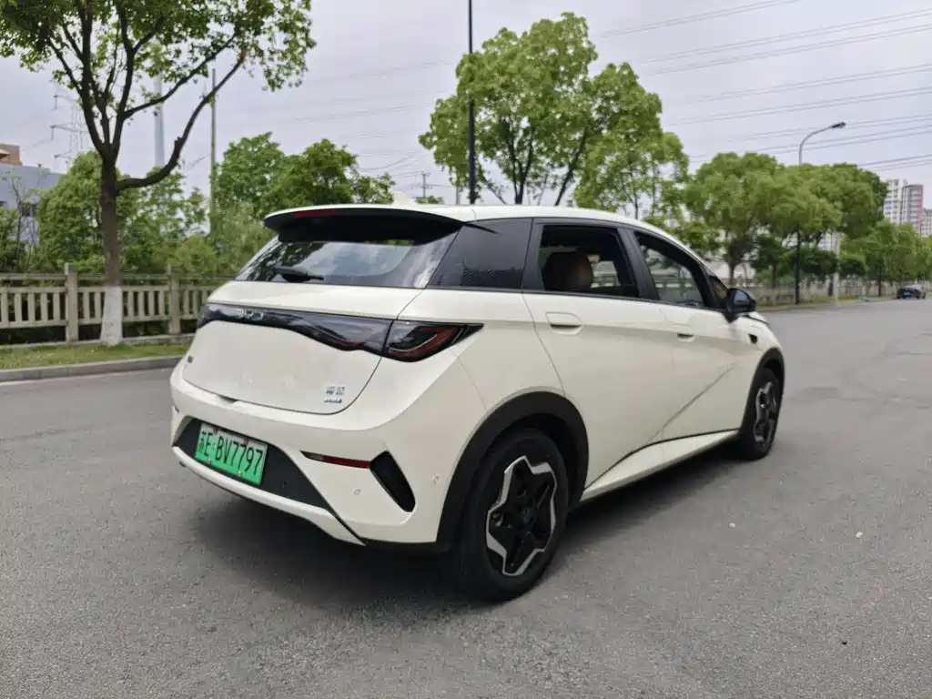 BYD Dolphin 2025 — фото 16