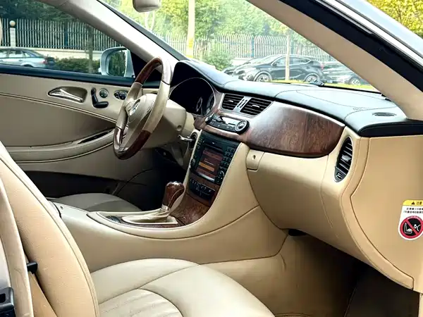 Mercedes-Benz CLS 2010