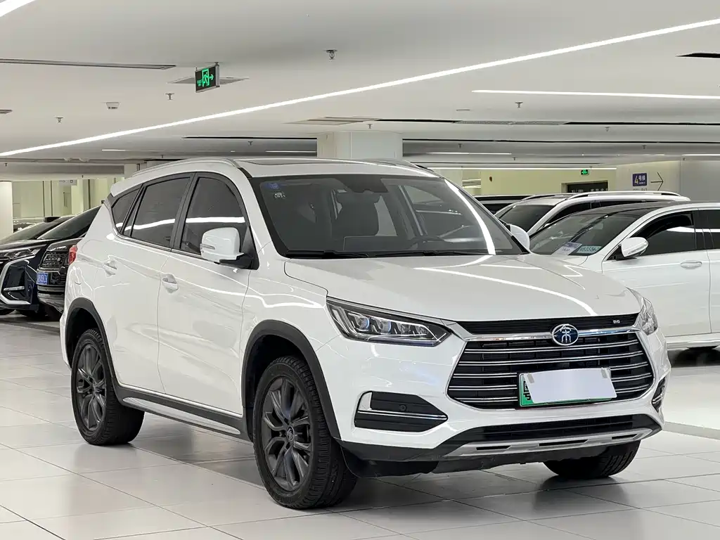 BYD New Energy 2019