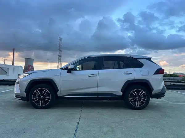 Toyota Weilanda New Energy 2021