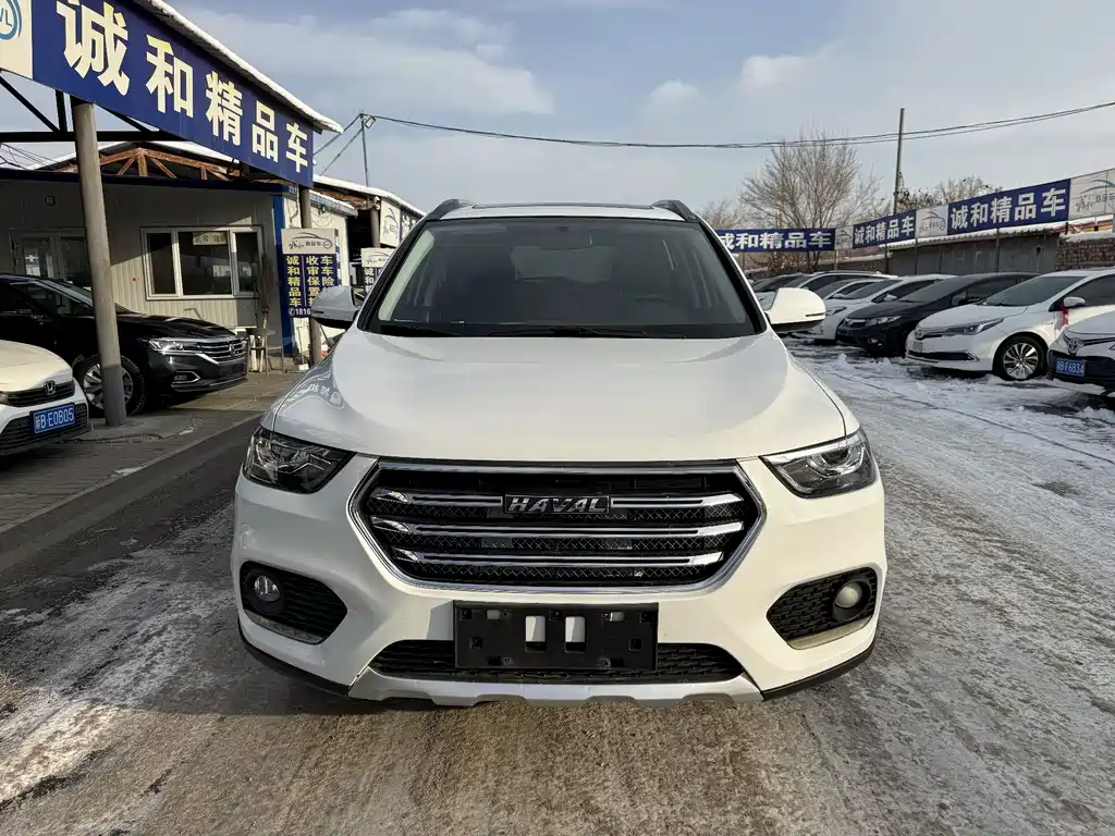 Haval H6 2019 — фото 2