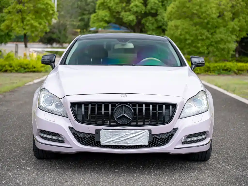 Mercedes-Benz CLS 2013 — фото 2