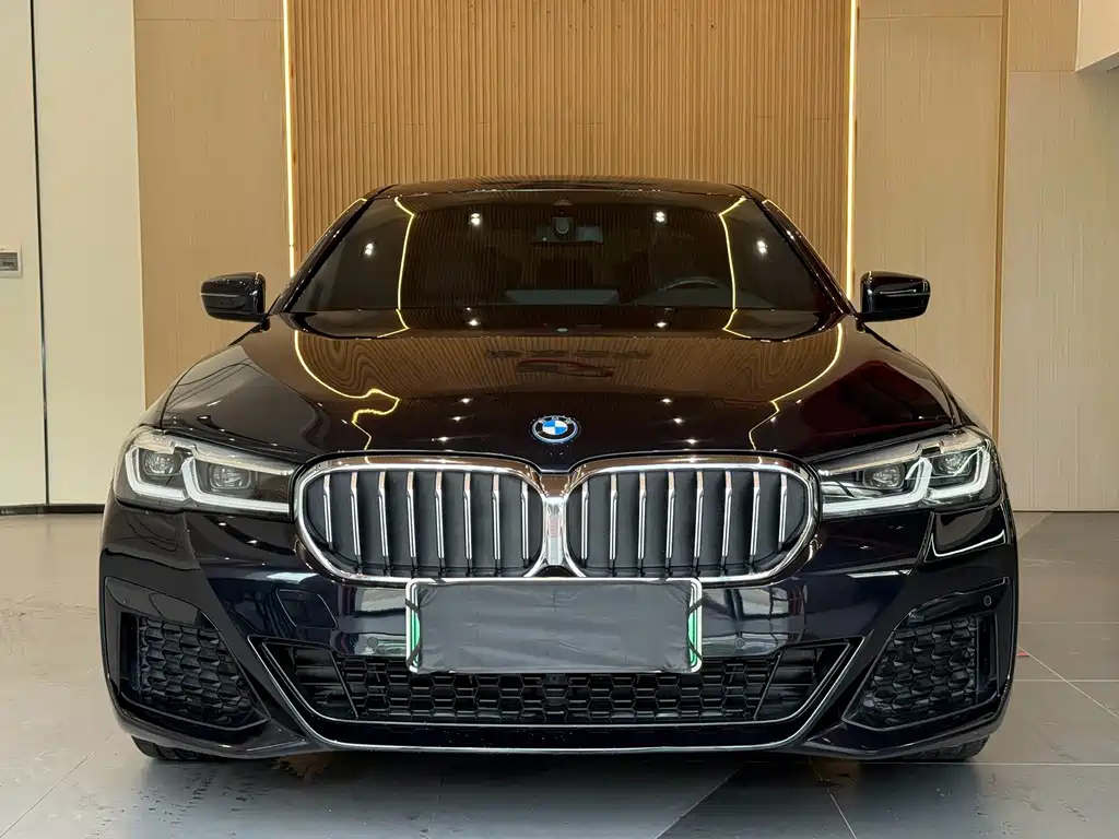 BMW 5 Series New Energy 2023 — фото 2