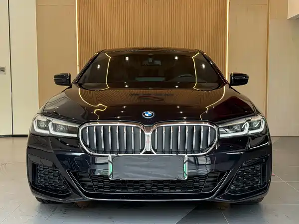 BMW 5 Series New Energy 2023