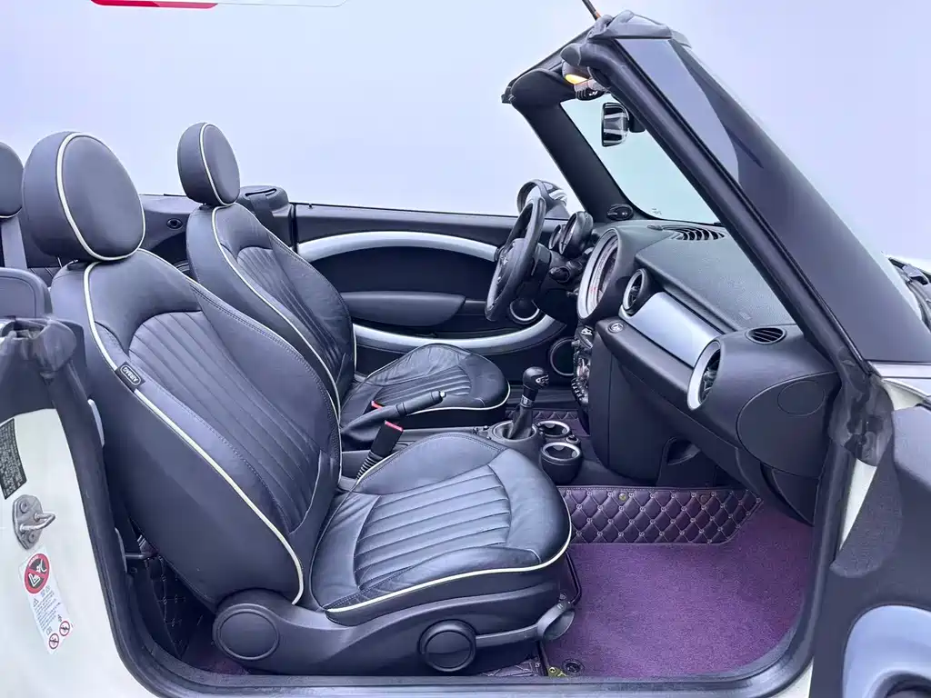 MINI MINI 2013