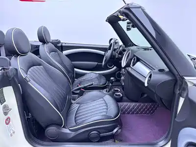 MINI MINI 2013