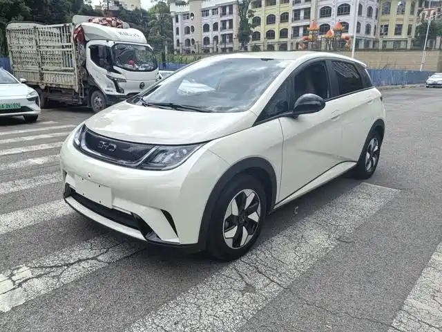 BYD Dolphin 2024