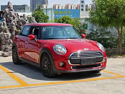 MINI MINI 2017