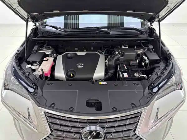 Lexus NX 2021