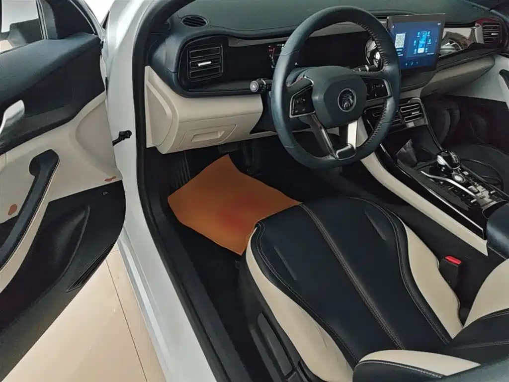 BYD Qin PLUS 2021 — фото 16