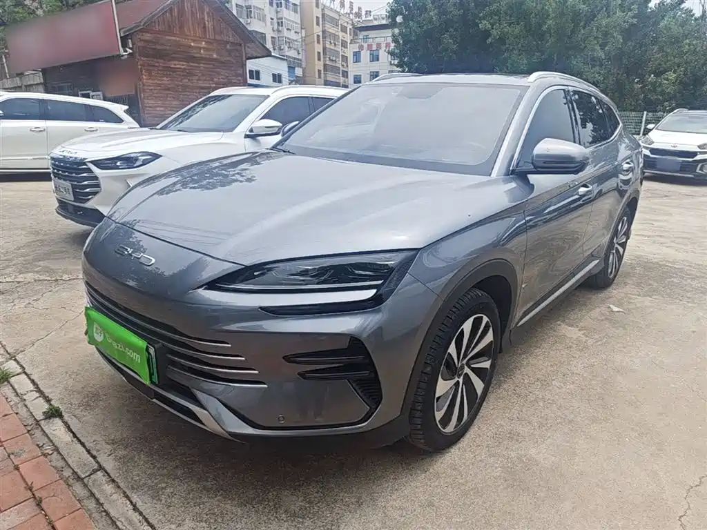 BYD PLUS New Energy 2024 — фото 2
