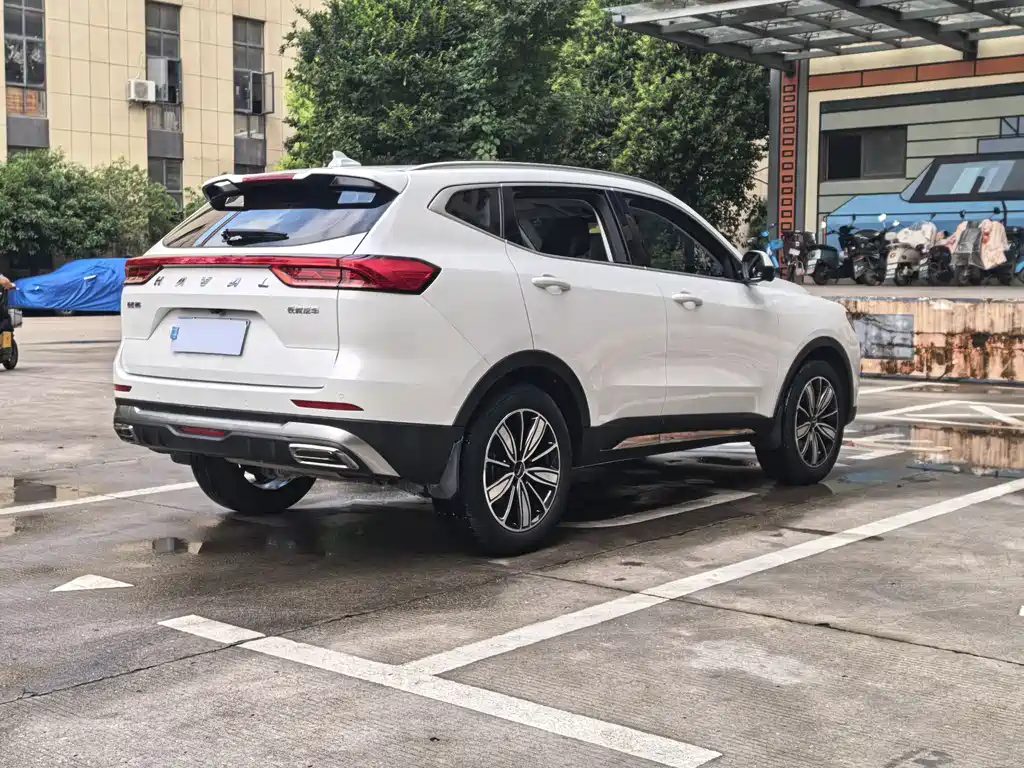 Haval H6 2024 — фото 15
