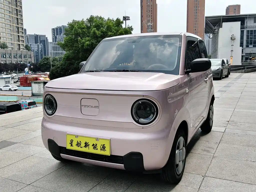 Geely Galaxy Panda 2024