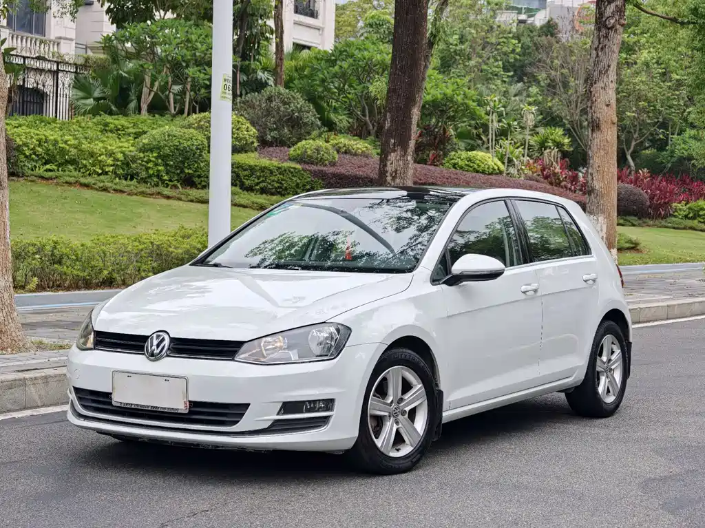 Volkswagen Golf 2015 — фото 1