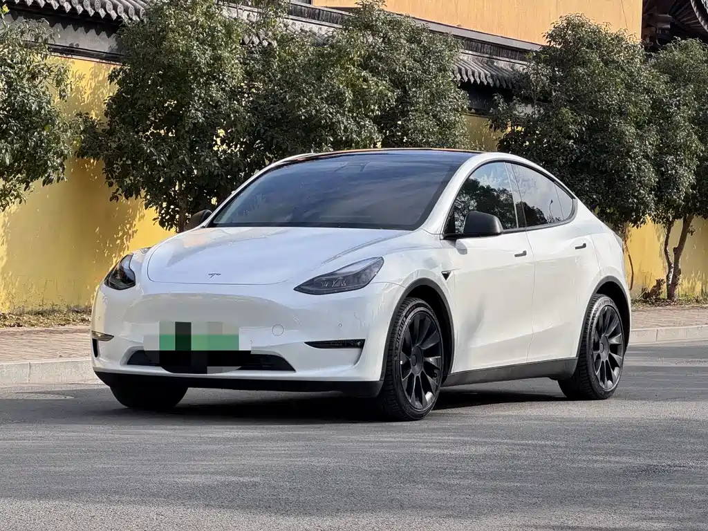 Tesla Model Y 2021 — фото 1