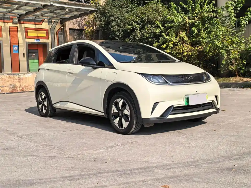 BYD Dolphin 2024