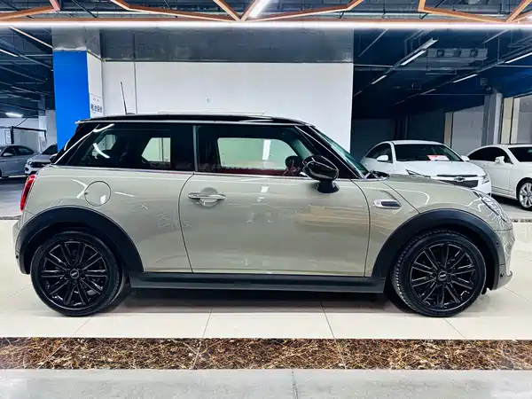 MINI MINI 2020